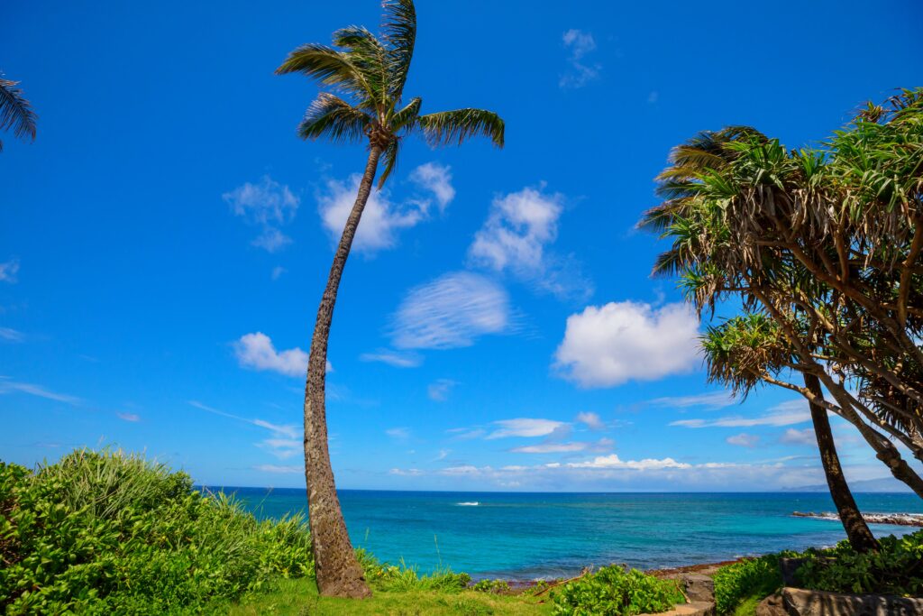 Maui Timeshare