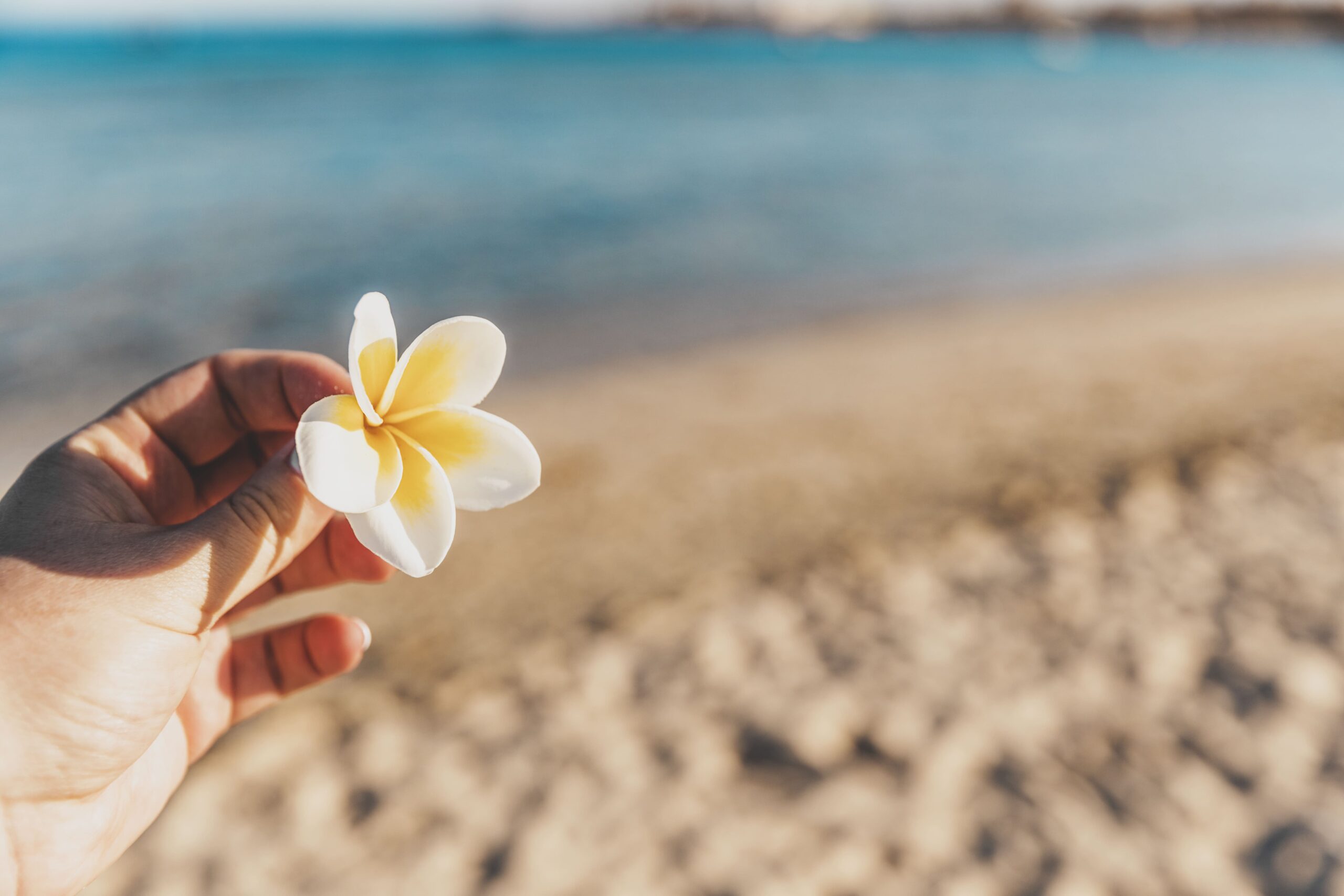 Understanding Timeshare Laws in Hawaii: Your Complete Guide to the Time Sharing Plans Law